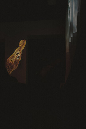 dokumentacja Rezydencji Migrart, część 2