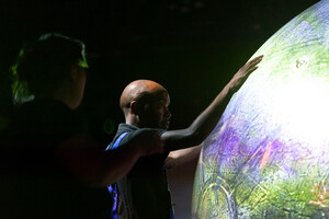 dokumentacja projektu Manifest Roślin